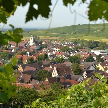 Ferienwohnung Schneckental Pfaffenweiler Exteriör bild